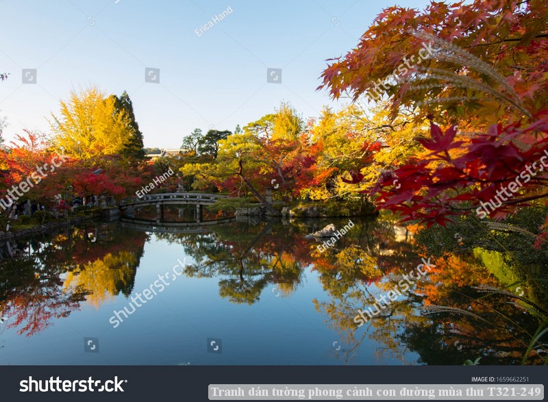 Tranh dán tường phong cảnh con đường mùa thu T321-249